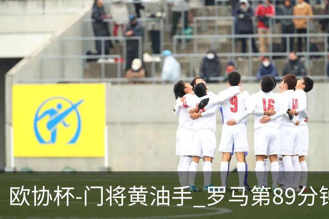 欧协杯-门将黄油手 罗马第89分钟遭绝杀1-2客负